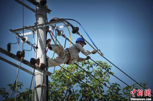 Data map: A power operator in Fuzhou braved high temperature to climb a pole to work. Wang Dongming, photo